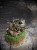 IMG_6596.jpeg