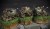 IMG_6595.jpeg