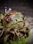 IMG_6607.jpeg