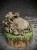 IMG_6619.jpeg