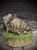 IMG_6617.jpeg