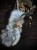 IMG_6903.jpeg