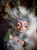 IMG_6900.jpeg