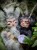 IMG_6826.jpeg