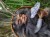 IMG_6818.jpeg