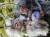 IMG_6851.jpeg