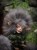 IMG_7021.jpeg