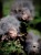 IMG_6998.jpeg