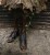 IMG_7006.jpeg