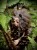 IMG_7008.jpeg