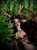 IMG_7105.jpeg