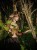 IMG_7074.jpeg
