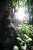 IMG_7243.jpeg