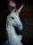 IMG_7951.jpeg