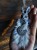 IMG_7938.jpeg
