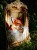 IMG_7964.jpeg
