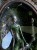 IMG_7927.jpeg