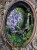 IMG_7920.jpeg