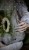IMG_7472.jpeg