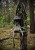 IMG_7438.jpeg