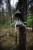 IMG_7468.jpeg