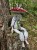 IMG_7413.jpeg