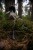 IMG_7470.jpeg