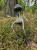 IMG_7440.jpeg