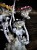 IMG_7328.jpeg