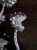 IMG_7319.jpeg