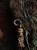 IMG_8049.jpeg