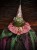 IMG_8043.jpeg