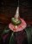 IMG_8036.jpeg