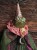 IMG_8042.jpeg