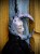 IMG_8059.jpeg