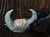 IMG_8081.jpeg