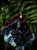IMG_8124.jpeg