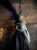 IMG_8168.jpeg