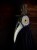IMG_8160.jpeg