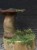 IMG_8257.jpeg