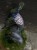 IMG_8266.jpeg