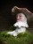 IMG_8272.jpeg