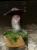 IMG_8275.jpeg