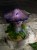 IMG_8280.jpeg