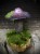 IMG_8279.jpeg