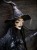 IMG_8300.jpeg