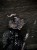 IMG_8321.jpeg