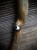 IMG_8325.jpeg