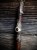 IMG_8328.jpeg