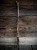 IMG_8336.jpeg